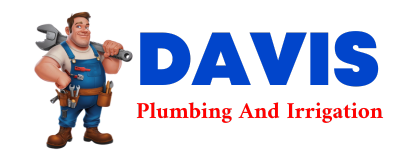 Trusted plumber in PINOPOLIS